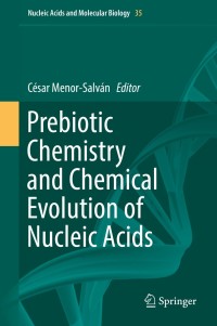 Cover image: Prebiotic Chemistry and Chemical Evolution of Nucleic Acids 9783319935836