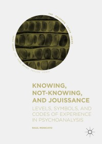 Omslagafbeelding: Knowing, Not-Knowing, and Jouissance 9783319940021