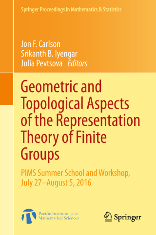 صورة الغلاف: Geometric and Topological Aspects of the Representation Theory of Finite Groups 9783319940328