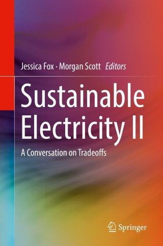 Imagen de portada: Sustainable Electricity II 9783319956954