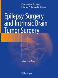 Omslagafbeelding: Epilepsy Surgery and Intrinsic Brain Tumor Surgery 9783319959177
