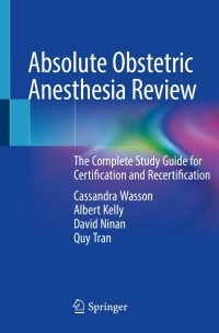 Imagen de portada: Absolute Obstetric Anesthesia Review 9783319969794