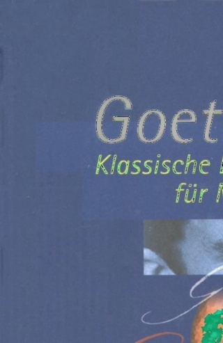 Cover image: Geothe - Klassische Literatur für Manager 1st edition 9783409124454