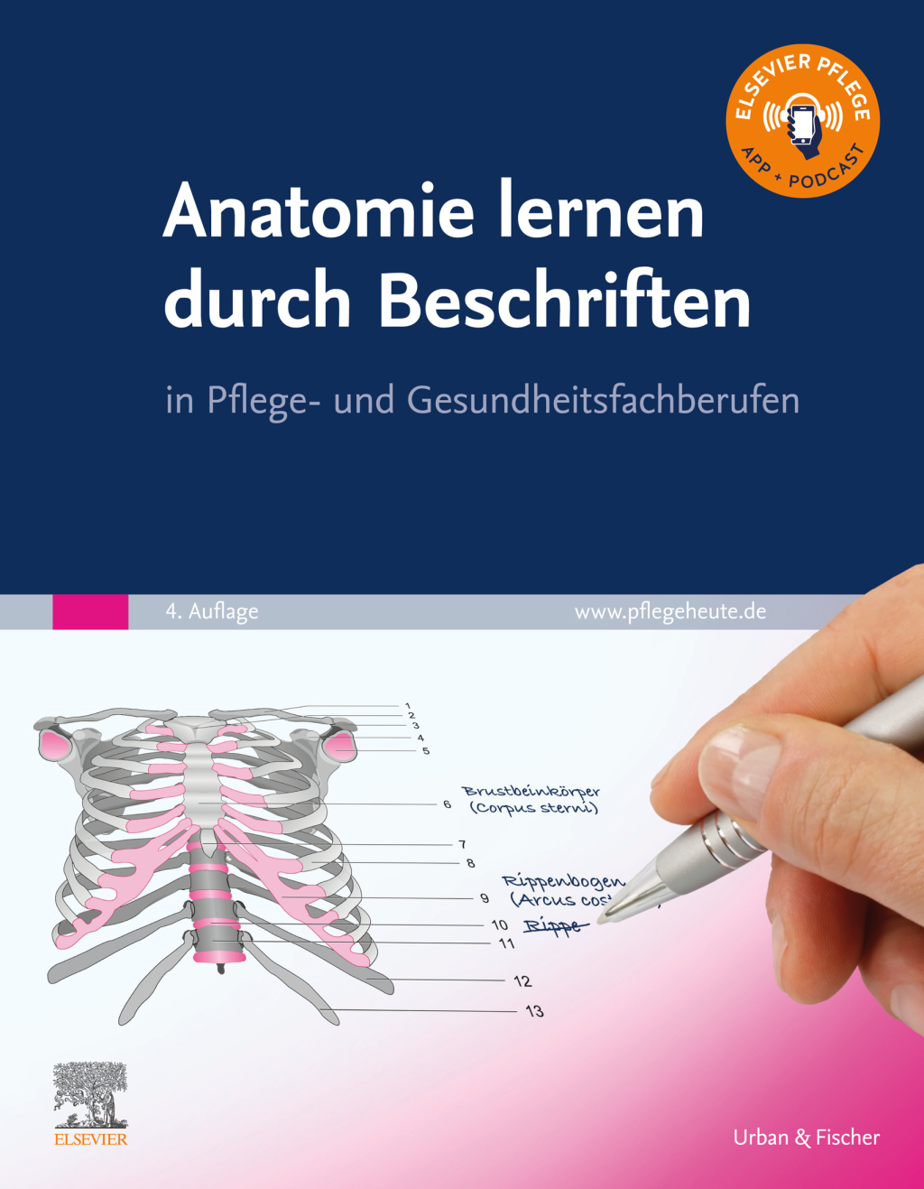 Anatomie lernen durch Beschriften in Pflege- und Gesundheitsberufen 4th Edition