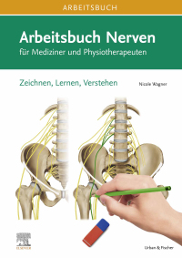Immagine di copertina: Arbeitsbuch Nerven 1st edition 9783437441806
