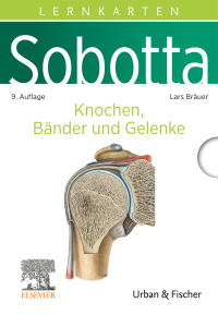 Cover image: Sobotta Lernkarten Knochen, Bänder und Gelenke 9th edition 9783437411595