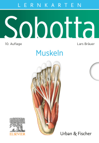 Cover image: Sobotta Lernkarten Muskeln 10th edition 9783437411632