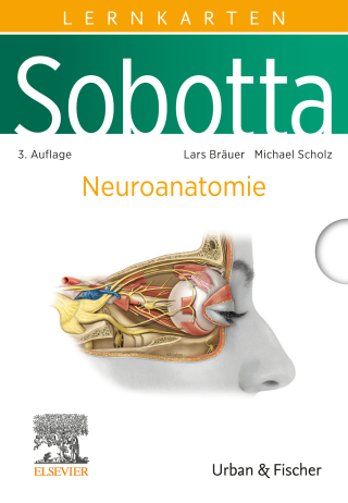 Cover image: Sobotta Lernkarten Neuroanatomie 3rd edition 9783437411649
