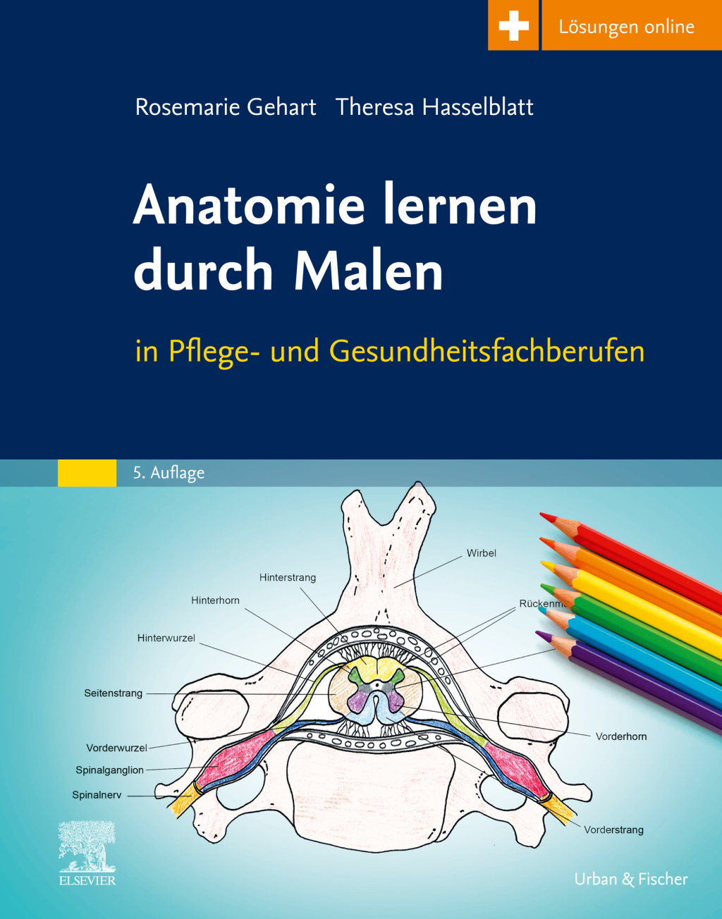 Anatomie lernen durch Malen in Pflege- und Gesundheitsfachberufen 5th Edition