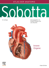 Omslagafbeelding: Sobotta, Atlas der Anatomie des Menschen Band 2 25th edition 9783437441400