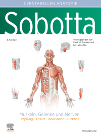 Titelbild: Sobotta Lerntabellen Muskeln, Gelenke und Nerven 4th edition 9783437441608