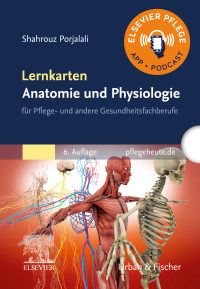 Imagen de portada: Lernkarten Anatomie und Physiologie 6th edition 9783437260223