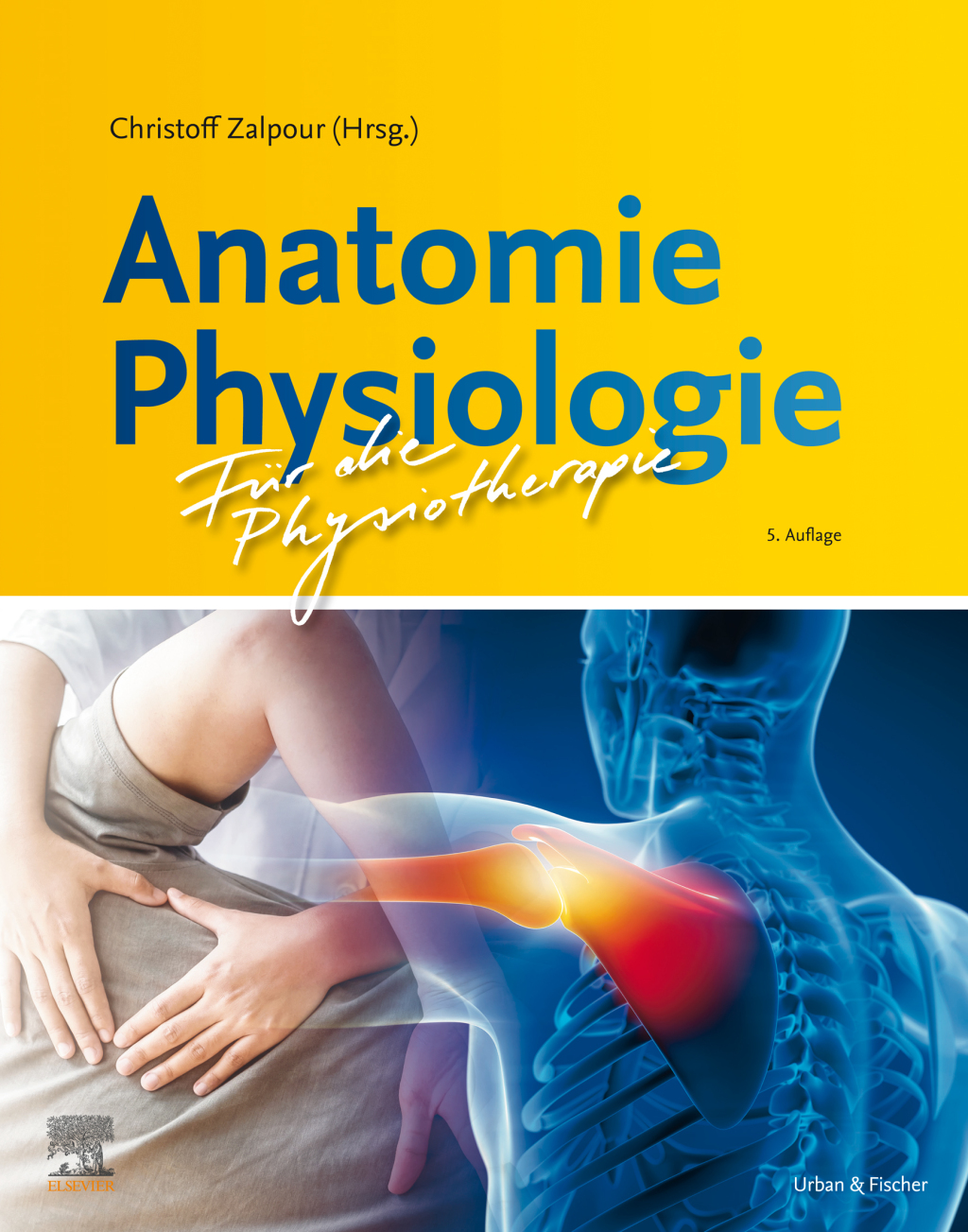 Anatomie Physiologie für die Physiotherapie 5th Edition