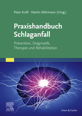 Imagen de portada: Praxishandbuch Schlaganfall 1st edition 9783437234316