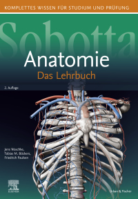 Cover image: Sobotta Lehrbuch Anatomie 2nd edition 9783437440816