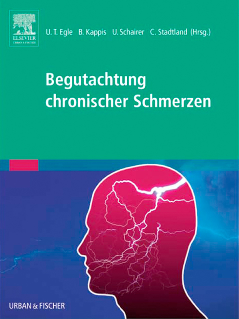 Begutachtung chronischer Schmerzen: Psychosomatische und psychiatrische Grundlagen – Fallbeispiele - Anleitung - FULL INSTANT DOWNLOAD | PDF DOCX EPUB