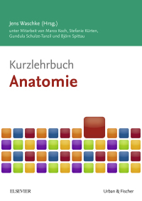 Imagen de portada: Kurzlehrbuch Anatomie 9783437432958