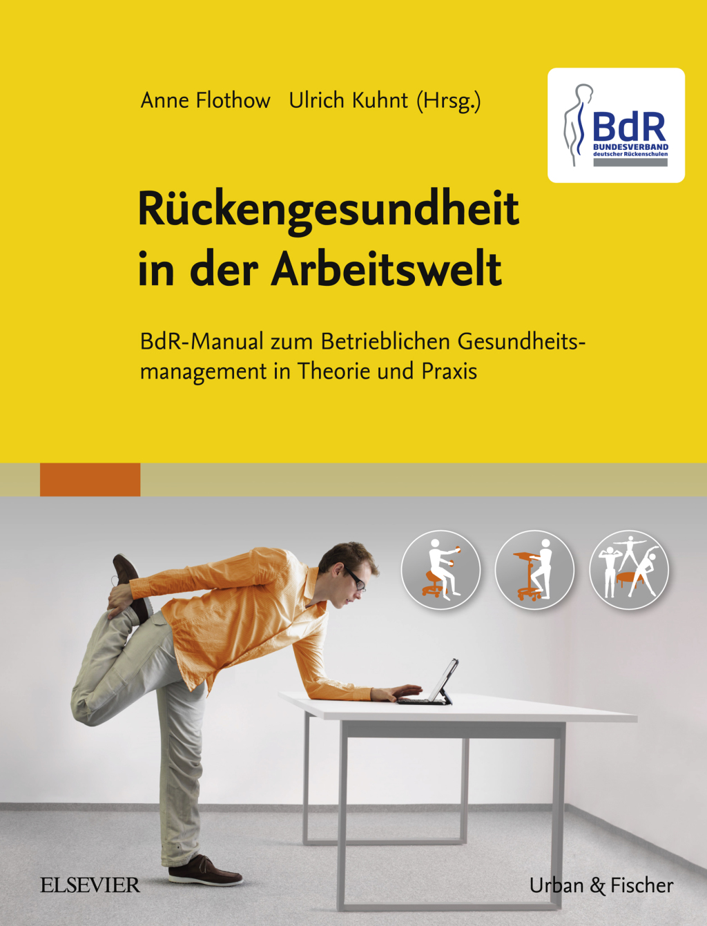 BdR-Manual RÃ¼ckengesundheit in der Arbeitswelt (eBook)