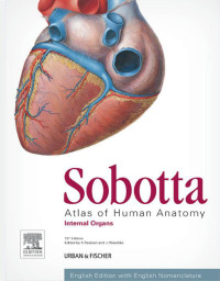表紙画像: Sobotta Atlas of Human Anatomy, Vol. 2, 15th ed., English 15th edition 9780702052521