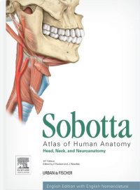 表紙画像: Sobotta Atlas of Human Anatomy, Vol. 3, 15th ed., English 15th edition 9780702052538