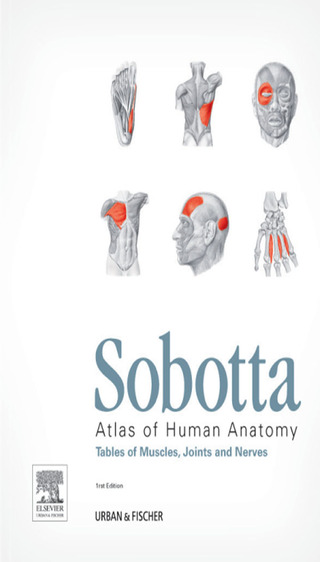 Cover image: Sobotta Tables of Muscles, Joints and Nerves, English/Latin: Tables to 15th ed. of the Sobotta Atlas 15th edition 9780723434917