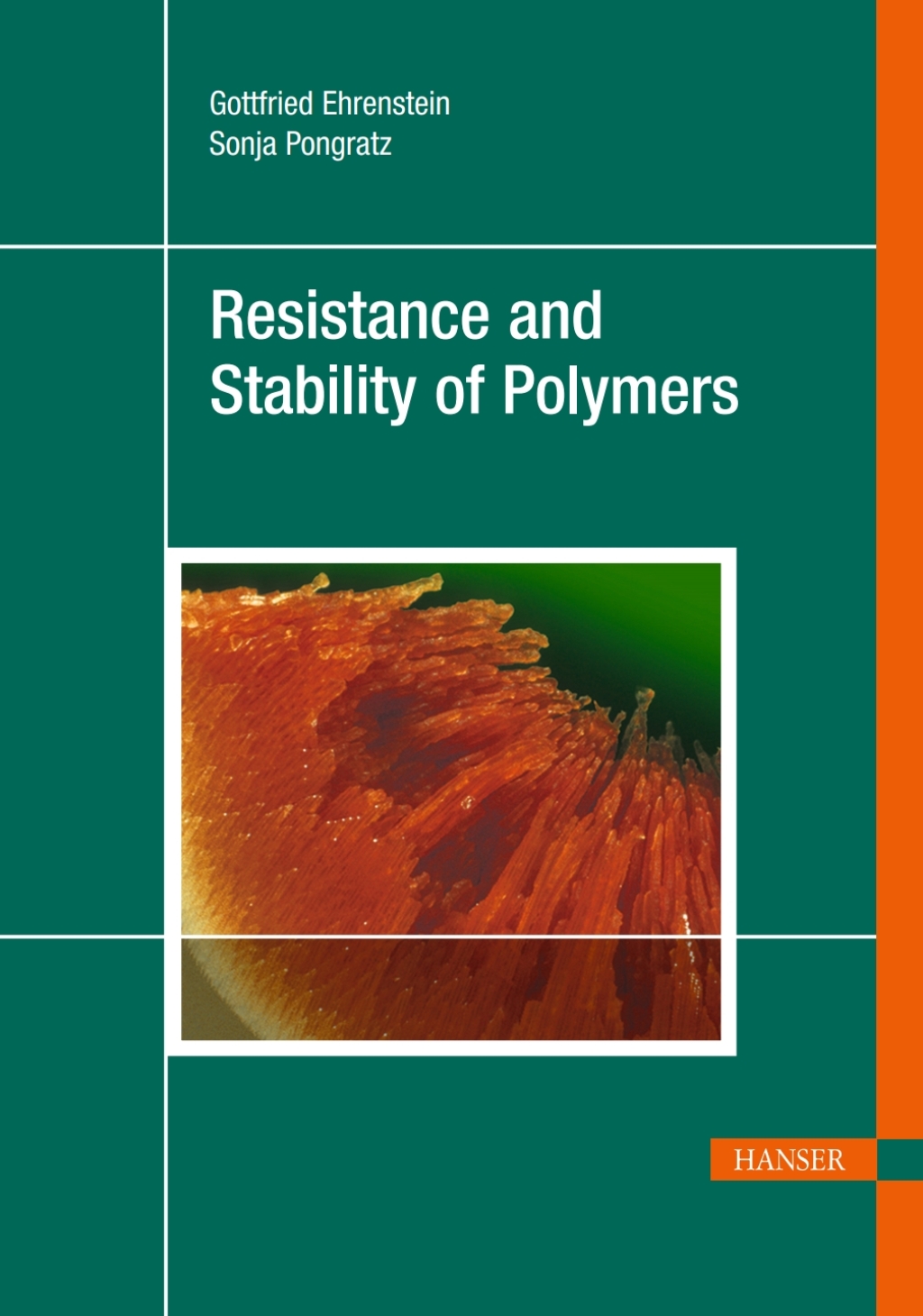Resistance and Stability of Polymers 1st Edition