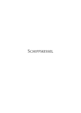 Titelbild: Schiffskessel 1st edition 9783486734218