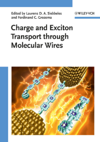 Imagen de portada: Charge and Exciton Transport through Molecular Wires 1st edition 9783527325016