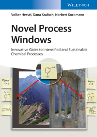 صورة الغلاف: Novel Process Windows 1st edition 9783527328581