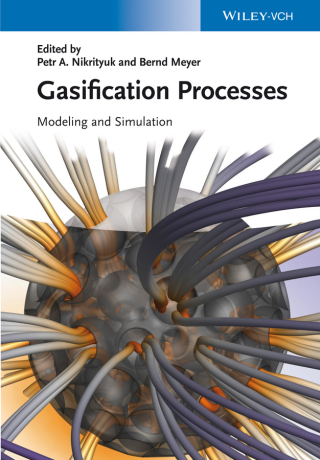 Imagen de portada: Gasification Processes 1st edition 9783527335503