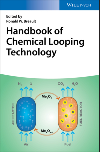 Imagen de portada: Handbook of Chemical Looping Technology 1st edition 9783527342020