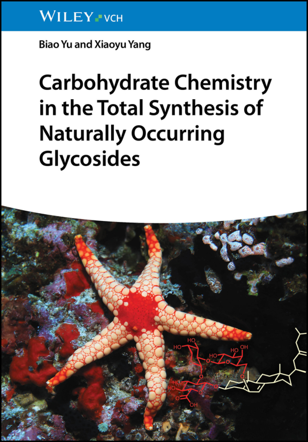 Carbohydrate Chemistry in the Total Synthesis of Naturally Occurring Glycosides 1st Edition