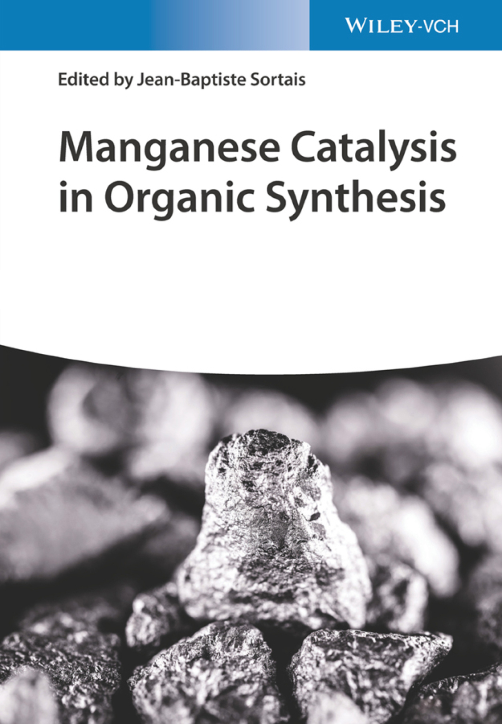 Manganese Catalysis in Organic Synthesis 1st Edition