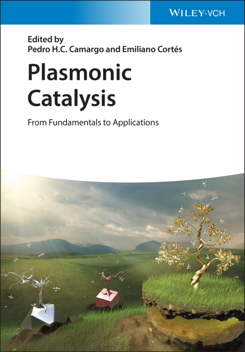 Plasmonic Catalysis From Fundamentals to Applications 1st Edition