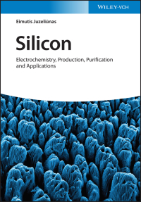 Immagine di copertina: Silicon 1st edition 9783527348978