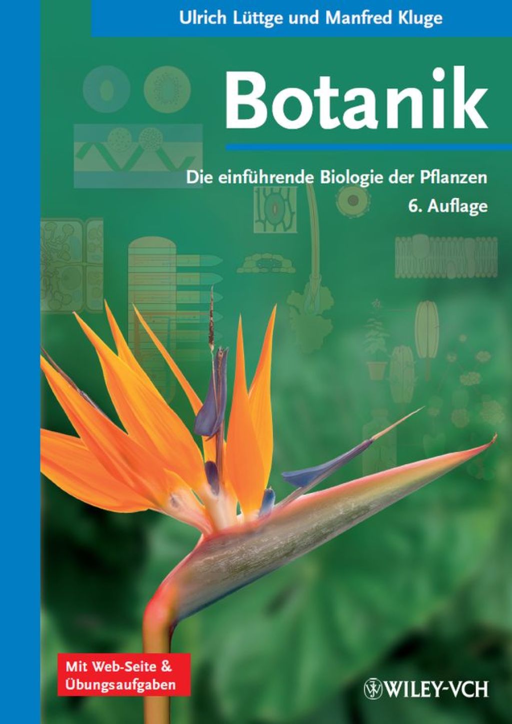 Botanik Die einführende Biologie der Pflanzen 6th Edition