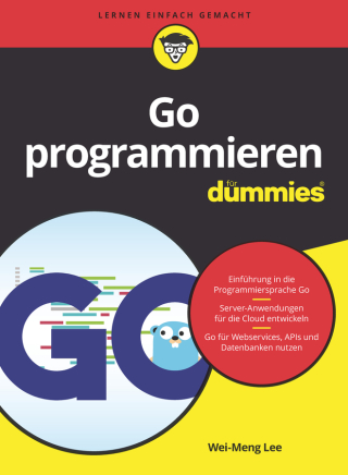 Imagen de portada: Go programmieren für Dummies 1st edition 9783527719464