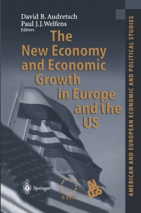 Cover image: The New Economy and Economic Growth in Europe and the US 1st edition 9783540431794