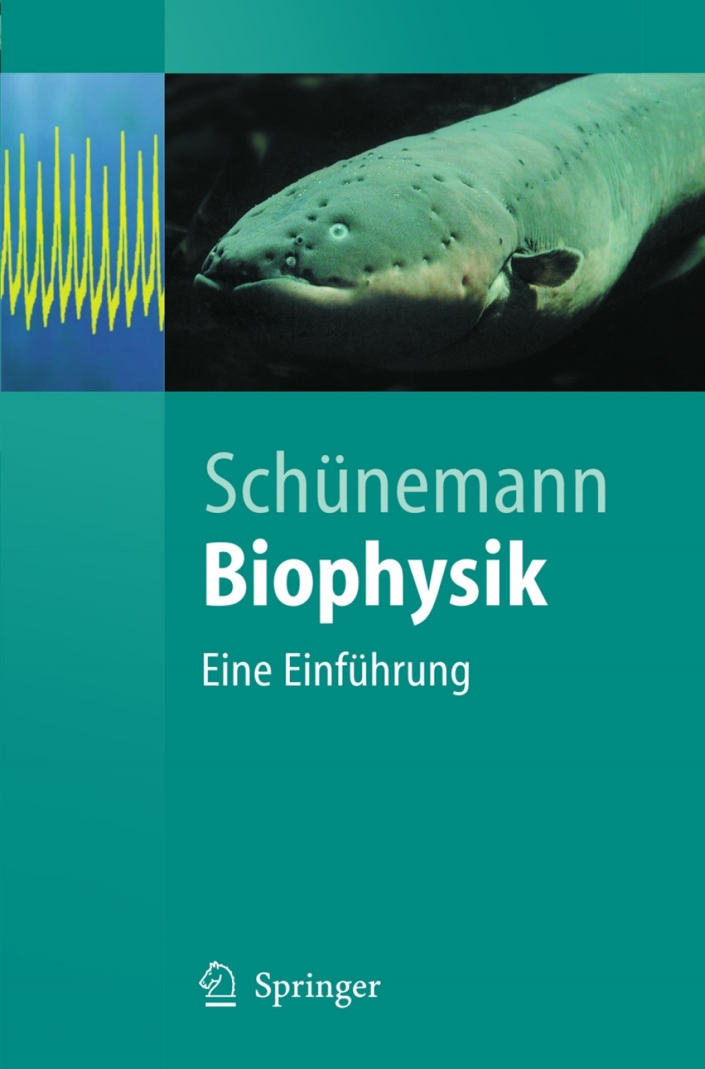 Biophysik Eine Einführung