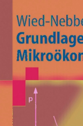 Cover image: Grundlagen der Mikroökonomik 3rd edition 9783540226833