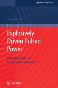 Imagen de portada: Explosively Driven Pulsed Power 1st edition 9783540260516