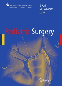 Titelbild: Pediatric Surgery 1st edition 9783540407386