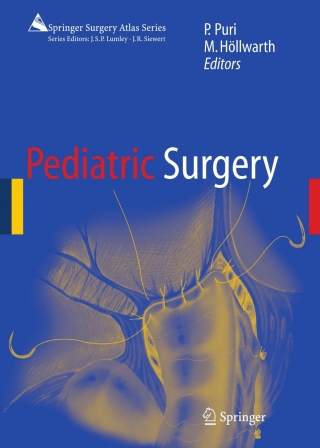 Imagen de portada: Pediatric Surgery 1st edition 9783540407386