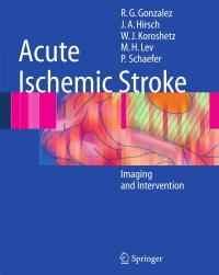 Cover image: Acute Ischemic Stroke 9783540252641