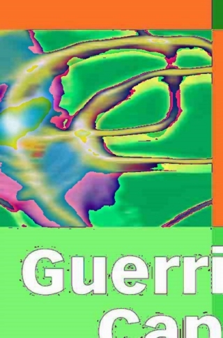 Cover image: Guerrilla Capacity Planning 9783540261384
