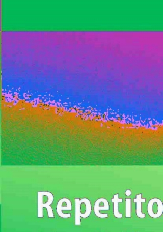 Cover image: Repetitorium Notfallmedizin 1st edition 9783540337027