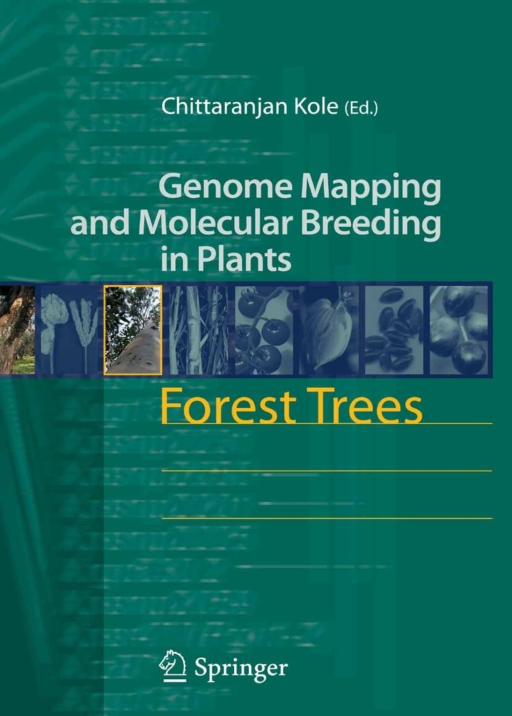 Forest Trees 1st Edition