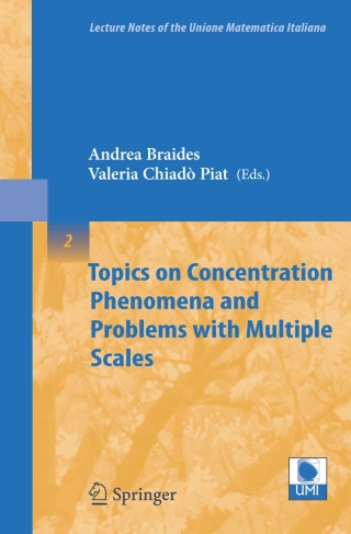Titelbild: Topics on Concentration Phenomena and Problems with Multiple Scales 1st edition 9783540362418