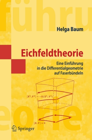 Immagine di copertina: Eichfeldtheorie 9783540382928