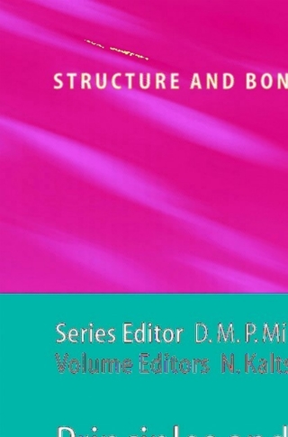 表紙画像: Principles and Applications of Density Functional Theory in Inorganic Chemistry II 1st edition 9783540218616